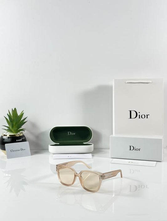 Christian Dior Sunglass